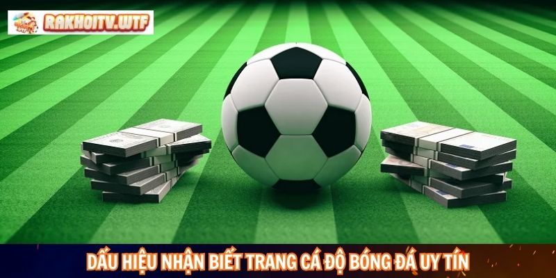 Dấu hiệu nhận biết trang cá độ bóng đá uy tín