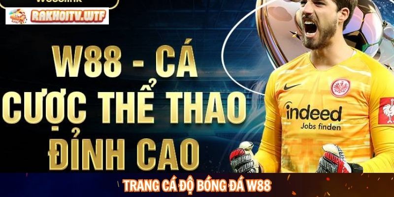 Trang cá độ bóng đá W88